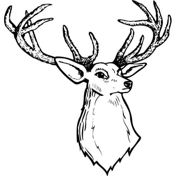 DEER008 Thumbnail